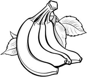malvorlage-bananen-mit-blaettern
