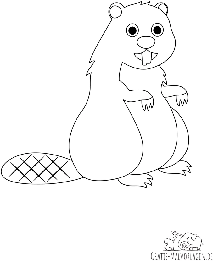 malvorlage-biber-ausmalen-fuer-kinder