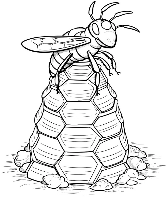 malvorlage-biene-auf-einem-bienenstock