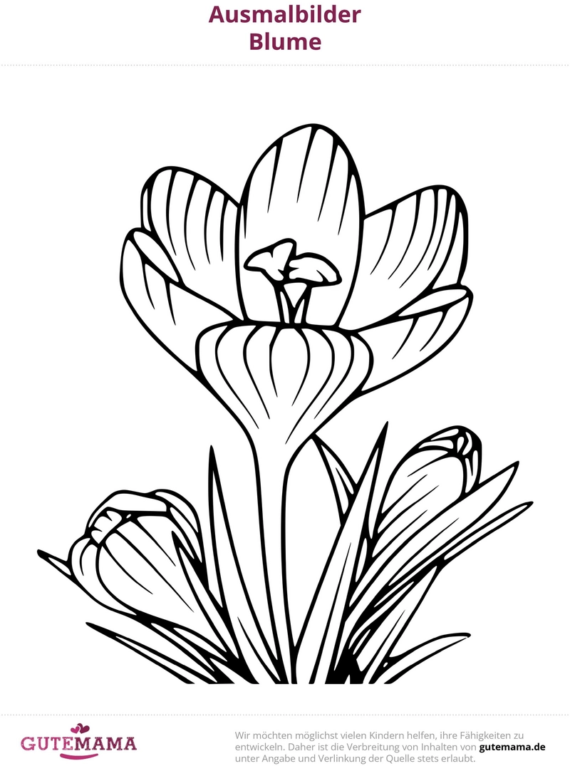 malvorlage-blume-ausmalbild-fuer-kreative-koepfe