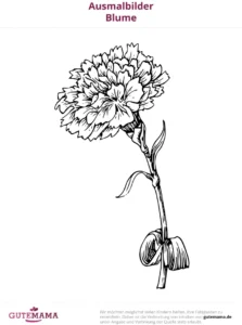 malvorlage-blume-ausmalbild-kreativ-gestalten