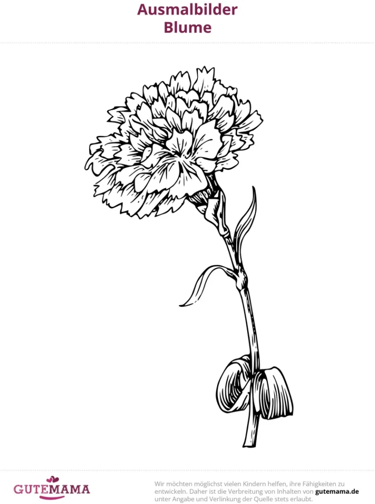 malvorlage-blume-ausmalbild-kreativ-gestalten