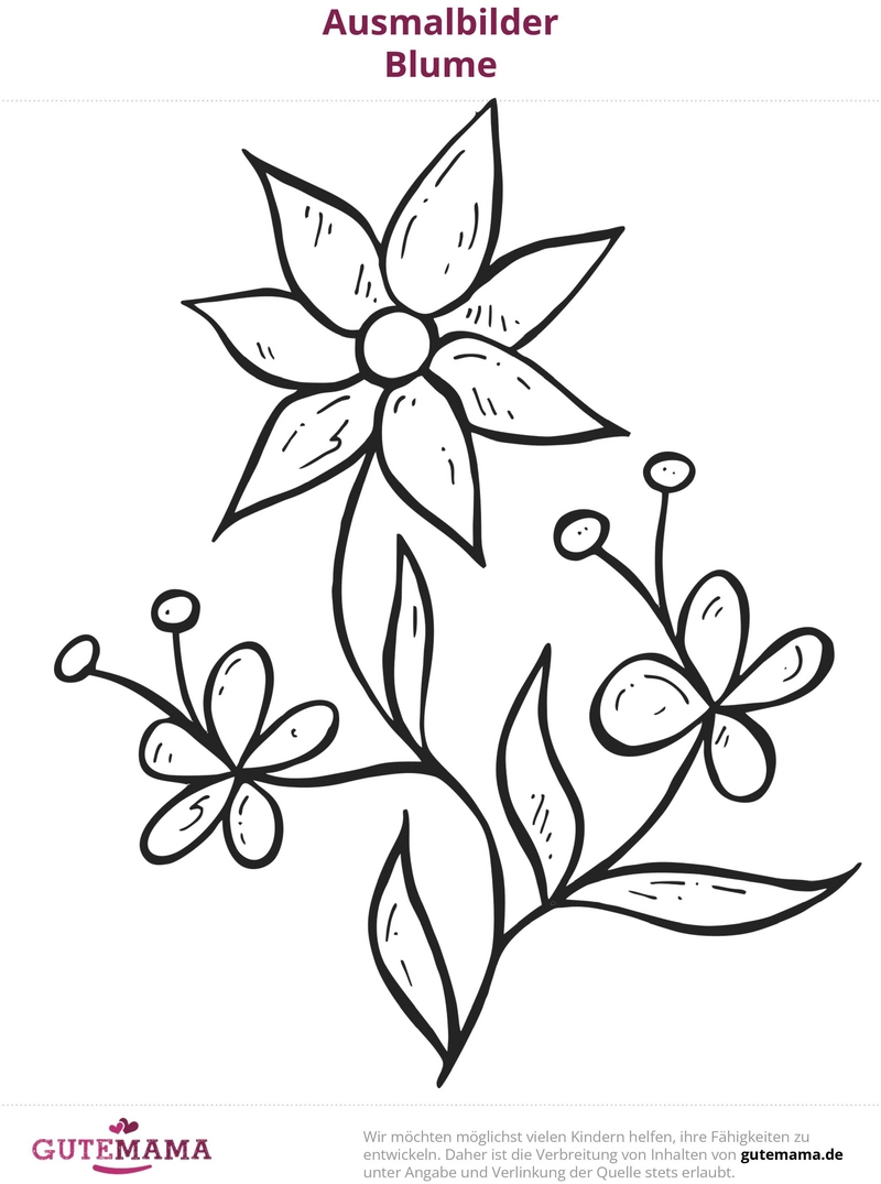 malvorlage-blume-ausmalbild-kreativ