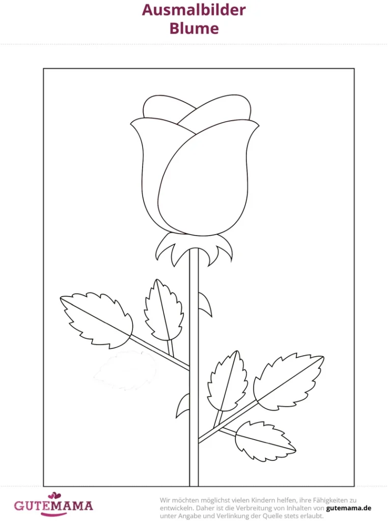 malvorlage-blume-ausmalbild-rose