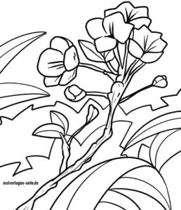 malvorlage-blume-ausmalen-fuer-kinder
