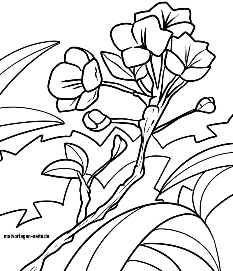 malvorlage-blume-ausmalen-fuer-kinder