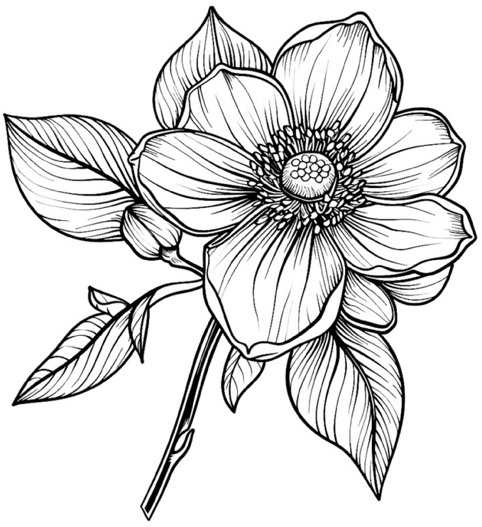 malvorlage-blume-ausmalen-kreative-entfaltung