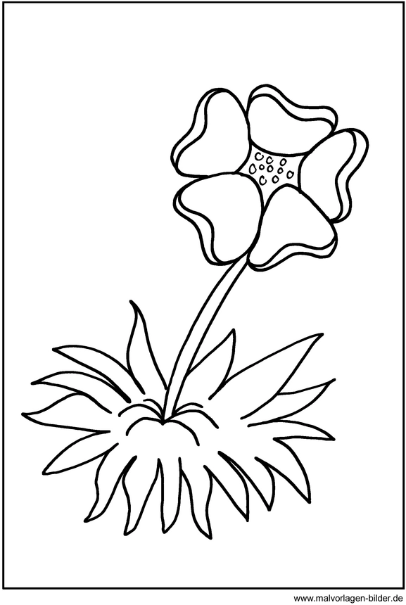 malvorlage-blume-ausmalen