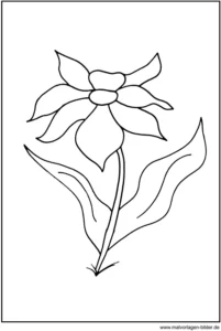 malvorlage-blume-fruehlingsblume-ausmalen