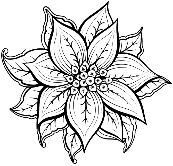 malvorlage-blume-mit-detaillierten-blaettern-und-blueten
