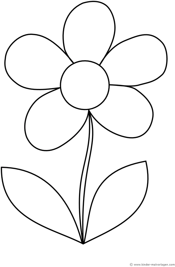 malvorlage-blume-mit-fuenf-bluetenblaettern-und-blaettern