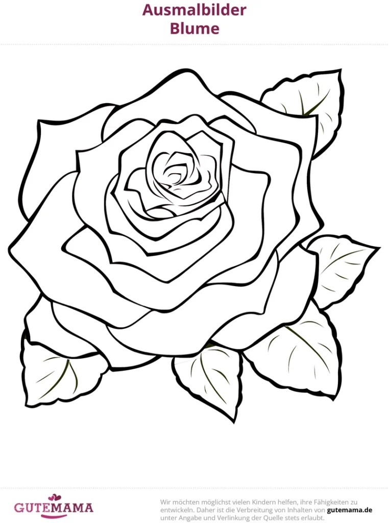 malvorlage-blume-rose-ausmalbild