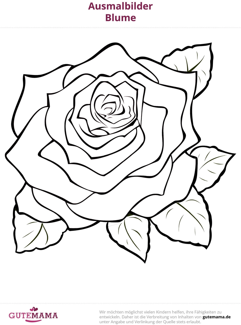 malvorlage-blume-rose-ausmalbild