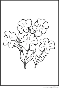 malvorlage-blumen-ausmalen-fruehlingszeit