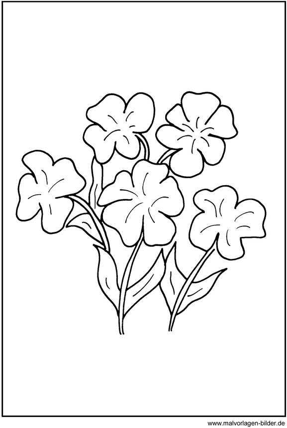 malvorlage-blumen-ausmalen-fruehlingszeit