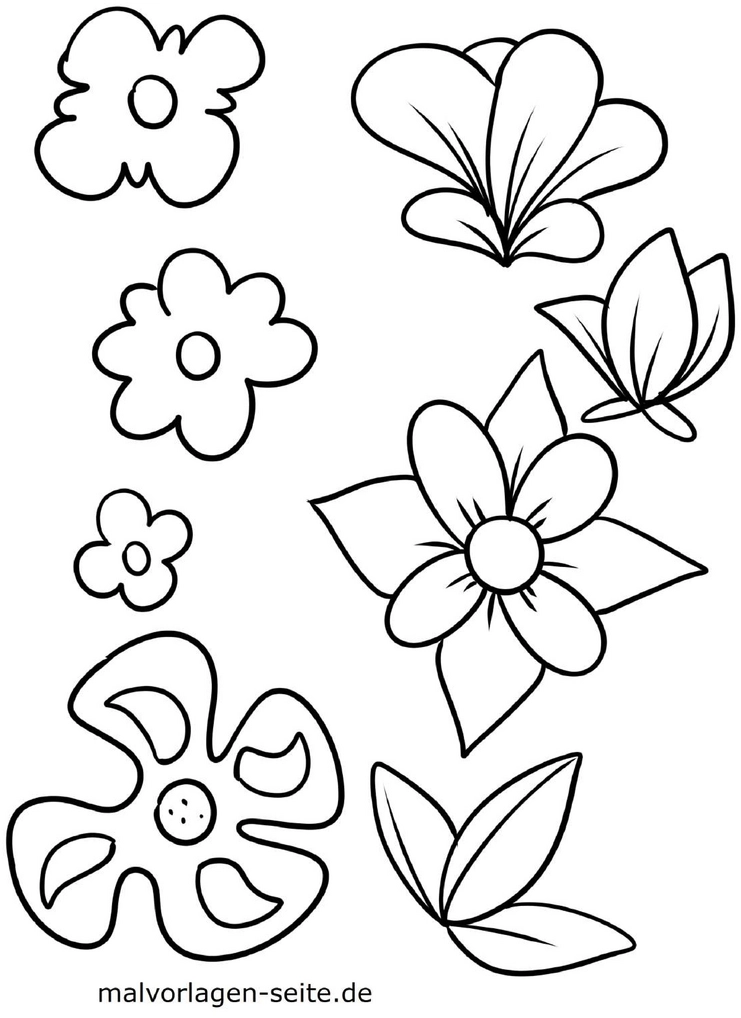 malvorlage-blumen-und-blueeten