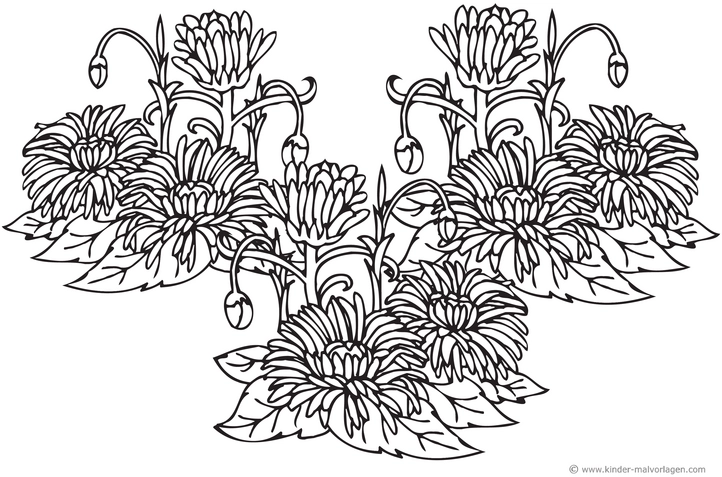 malvorlage-blumen-und-pflanzen-zum-ausmalen