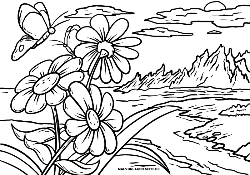 malvorlage-blumen-und-schmetterling-in-natur