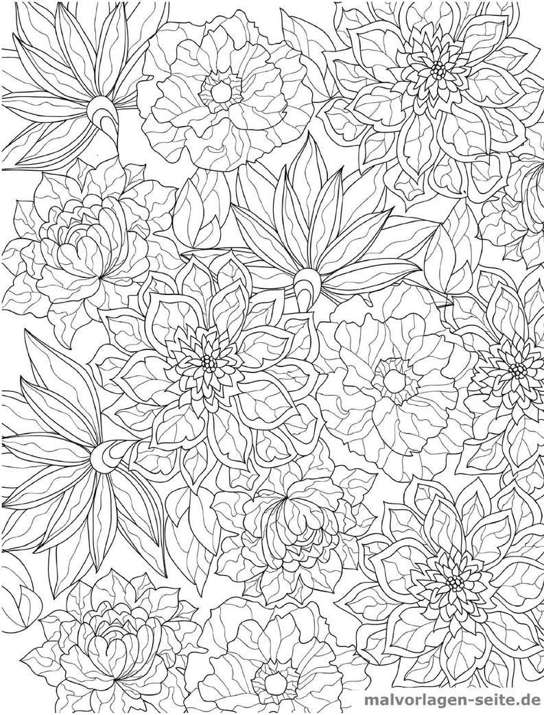malvorlage-blumen-vielfalt-ausmalen