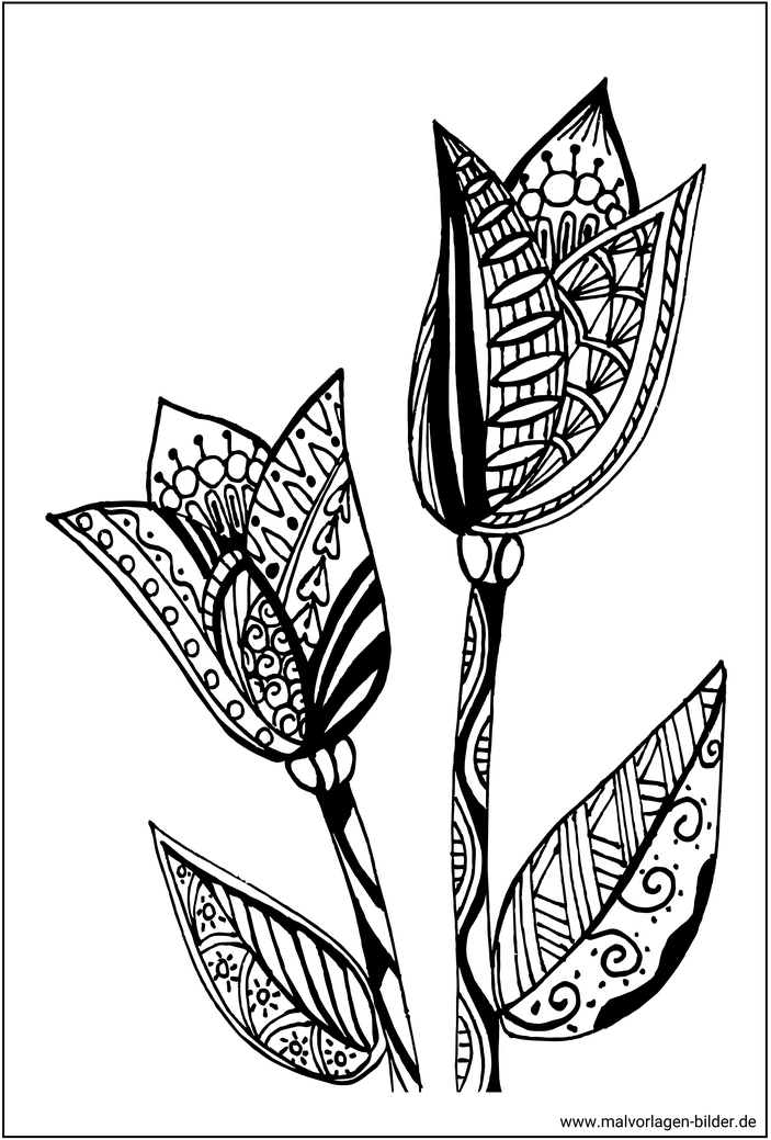 malvorlage-blumen-zum-ausmalen-fuer-erwachsene