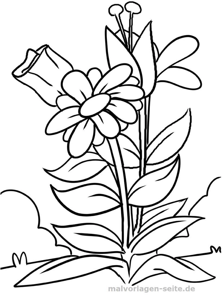 malvorlage-blumenarrangement