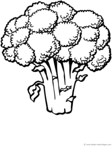 malvorlage-brokkoli-ausmalen