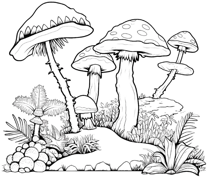 malvorlage-bunte-pilze-natur-umgebung