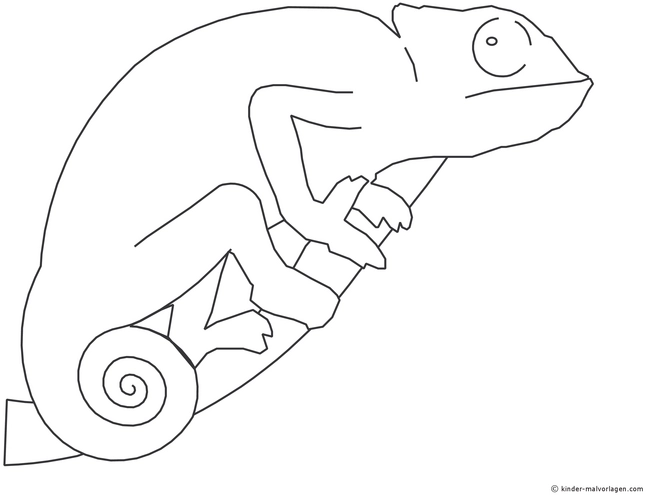 malvorlage-chamaeleon-auf-ast