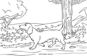 malvorlage-dackel-in-der-natur