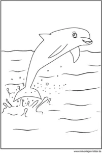 malvorlage-delfin-ausmalen