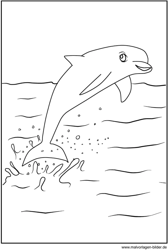 malvorlage-delfin-ausmalen