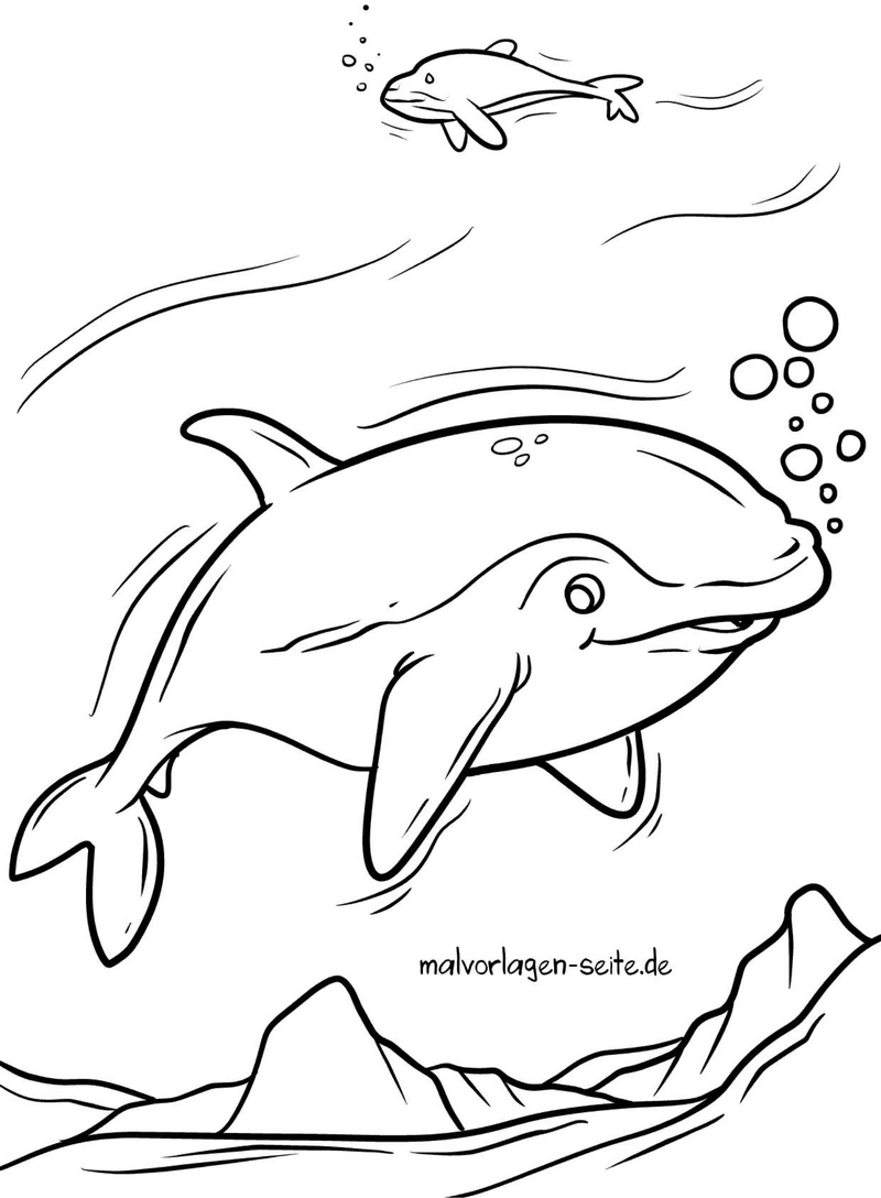 malvorlage-delfin-in-der-unterwasserwelt