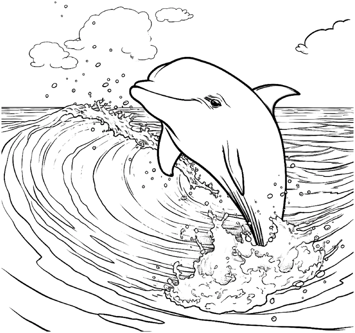 malvorlage-delfin-in-der-welle