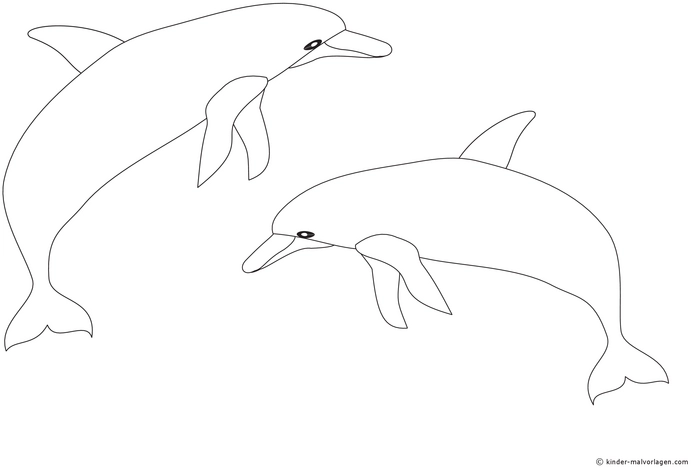 malvorlage-delfine-ausmalen