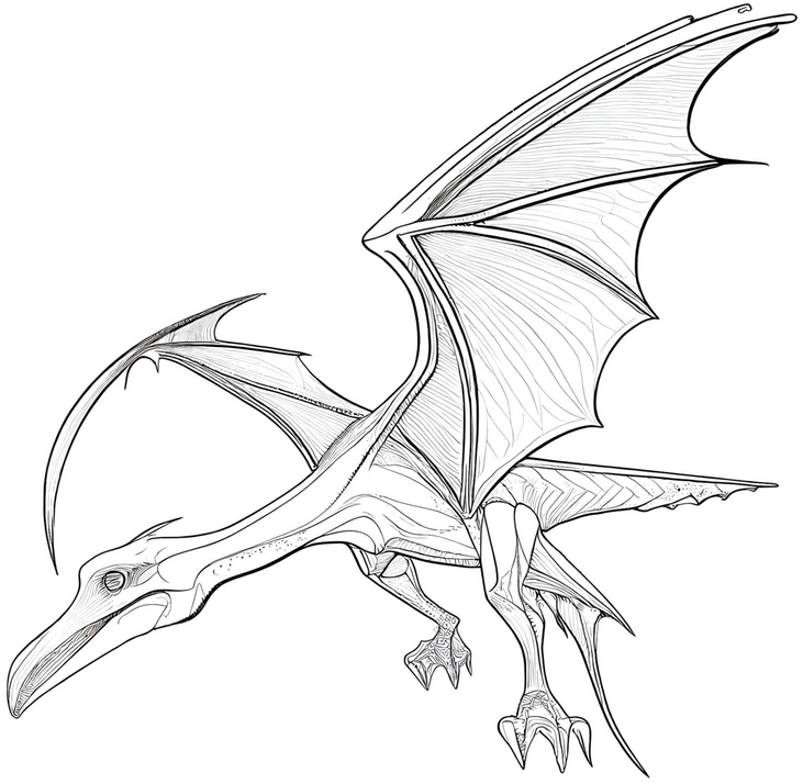 malvorlage-drachen-mit-fluegeln-ausmalen
