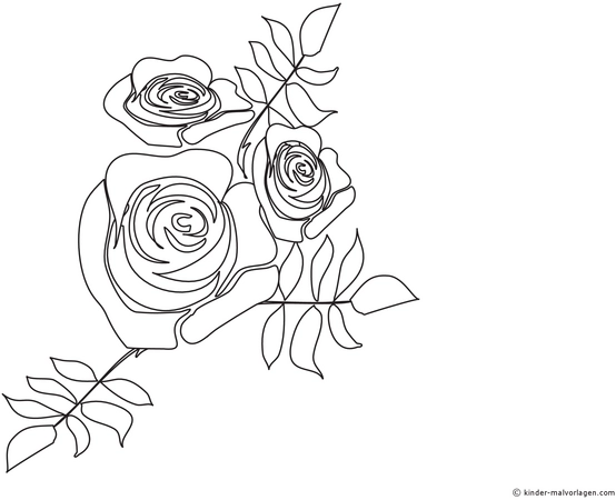 malvorlage-drei-rosen-ausmalen
