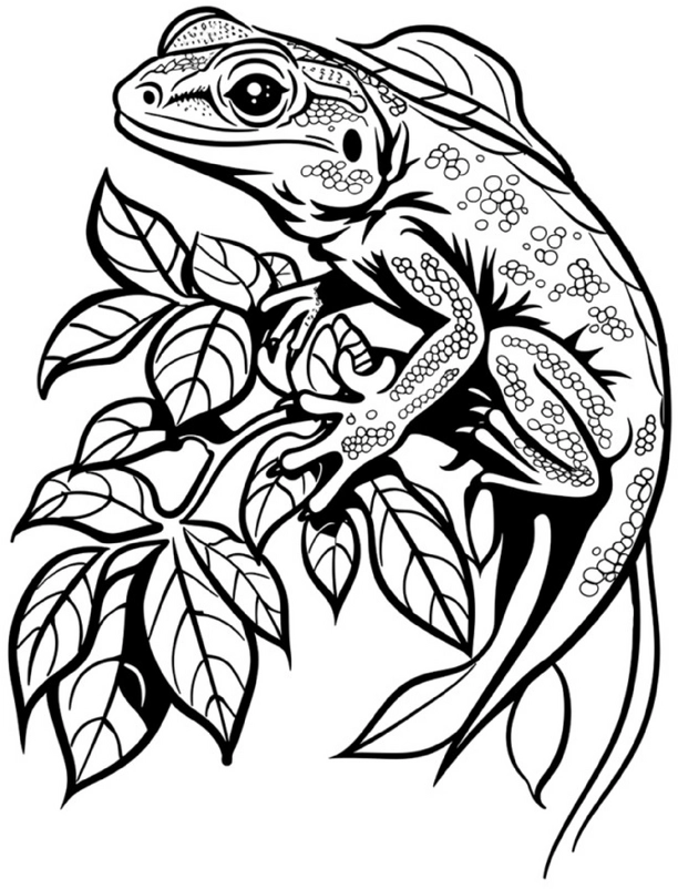 malvorlage-eidechse-natur-blätter