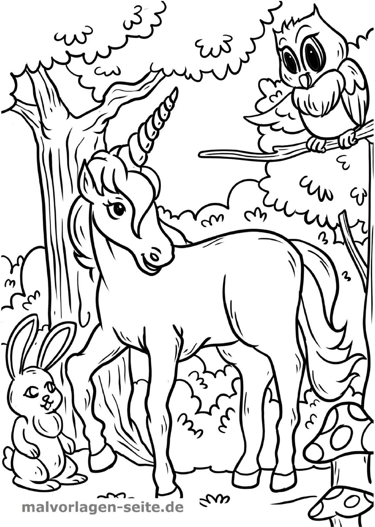 malvorlage-einhorn-hase-eule-im-wald