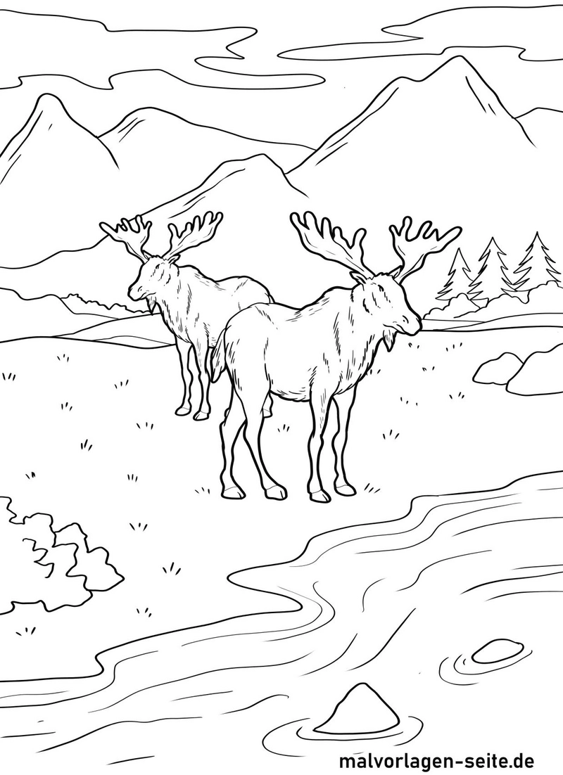 malvorlage-elche-in-der-natur
