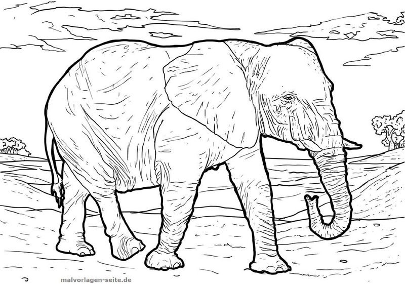 malvorlage-elefant-in-natur-umgebung