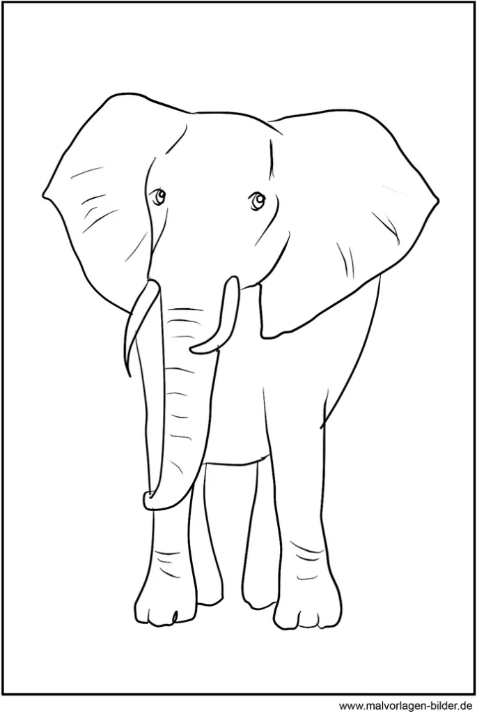 malvorlage-elefant-zum-ausmalen