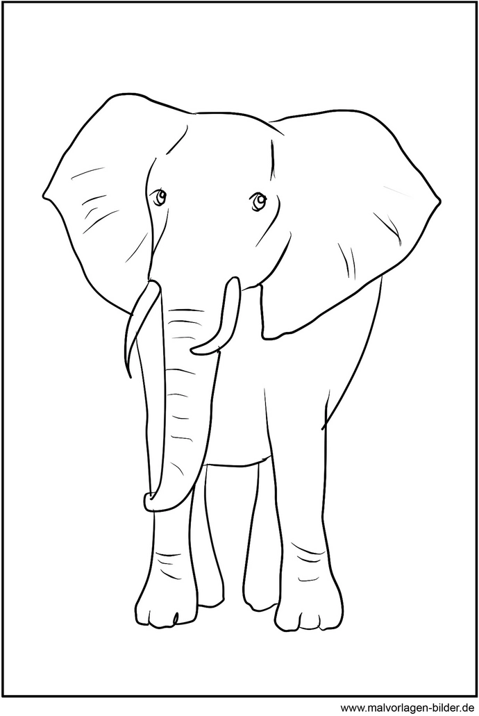 malvorlage-elefant-zum-ausmalen
