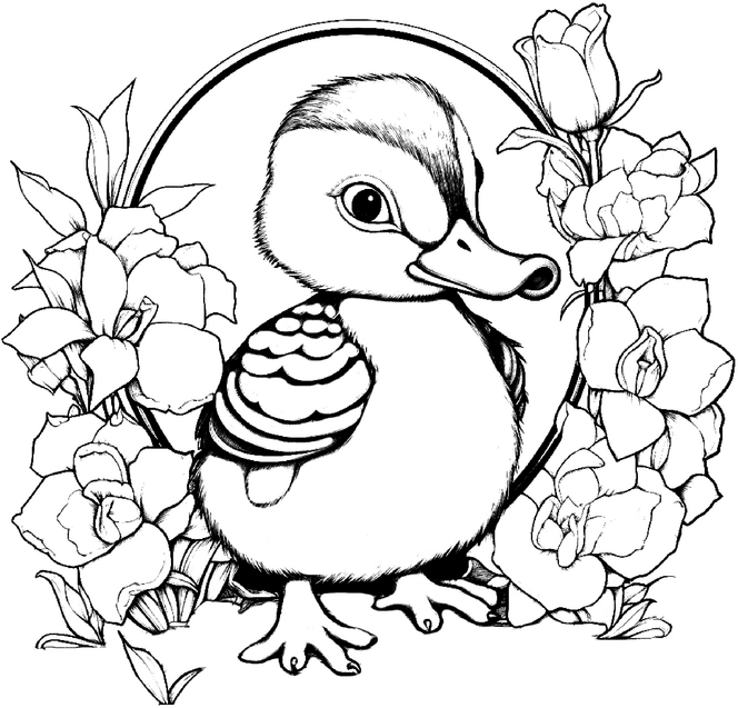 malvorlage-ente-mit-blumen