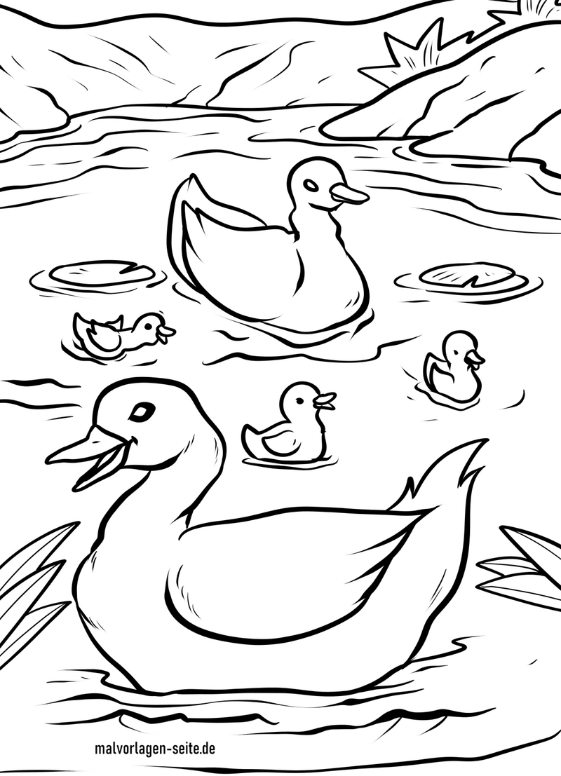 malvorlage-ente-mit-kueken-im-wasser