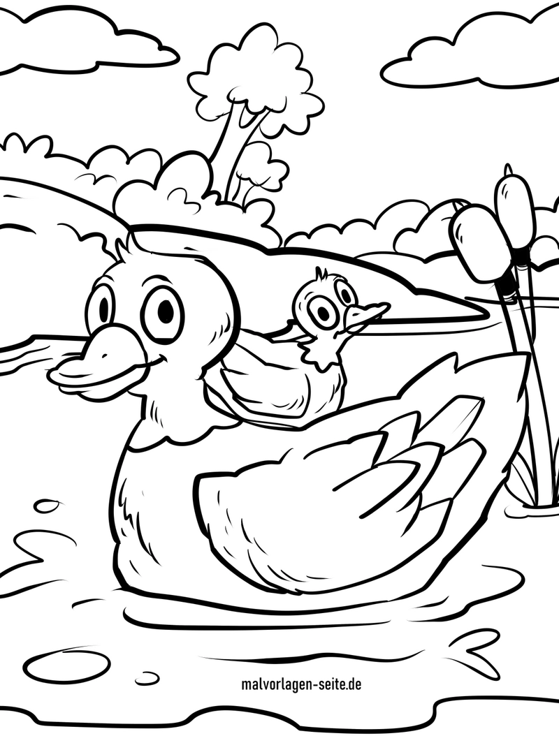 malvorlage-enten-im-teich-mit-baeumen-und-pflanzen
