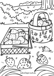 malvorlage-erdbeeren-im-korb-und-kiste