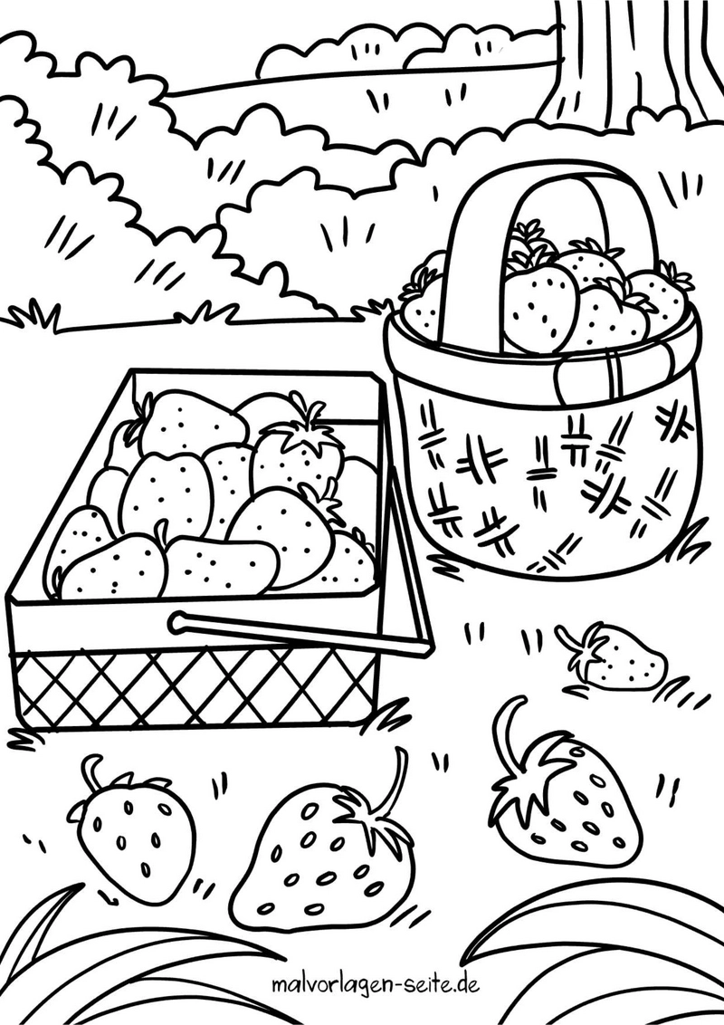 malvorlage-erdbeeren-im-korb-und-kiste