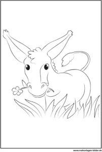 malvorlage-esel-auf-der-wiese