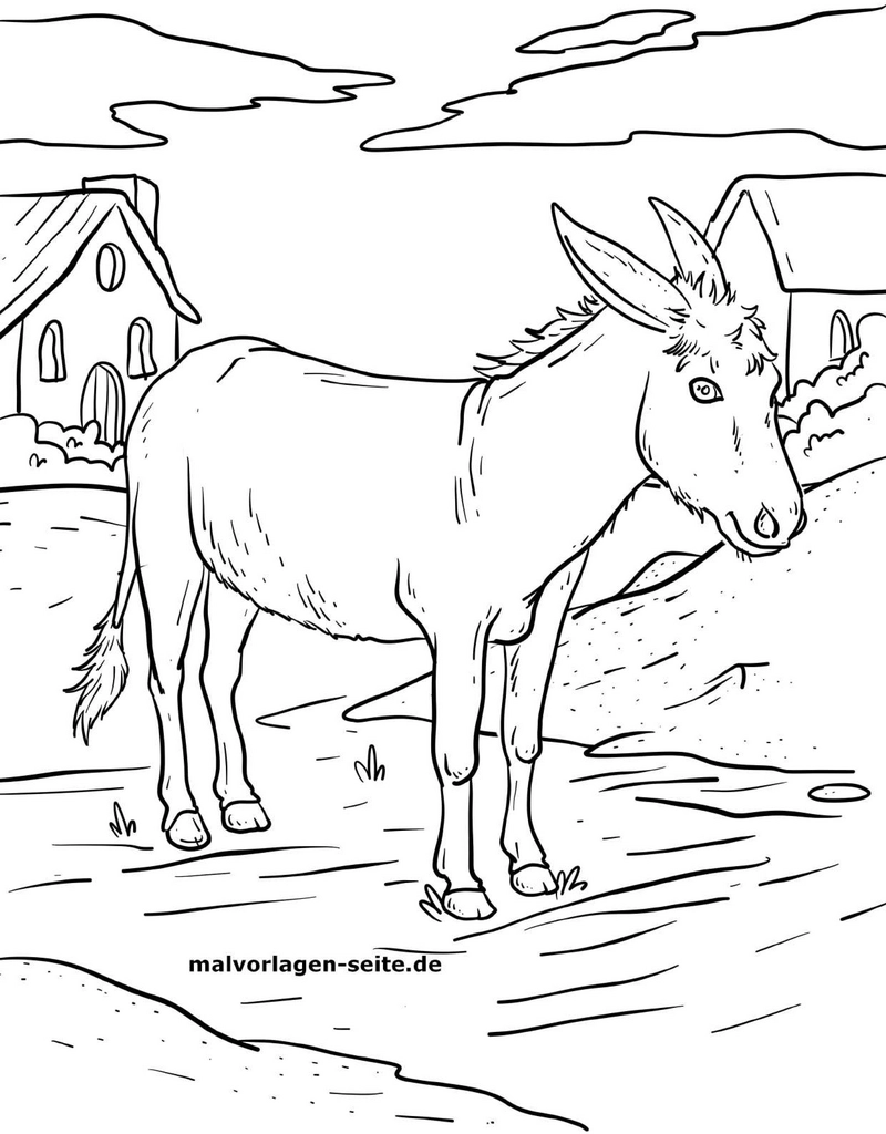 malvorlage-esel-in-laendlicher-umgebung