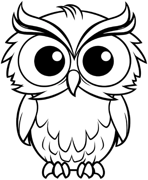 malvorlage-eule-mit-grossen-augen-und-faszinierenden-details